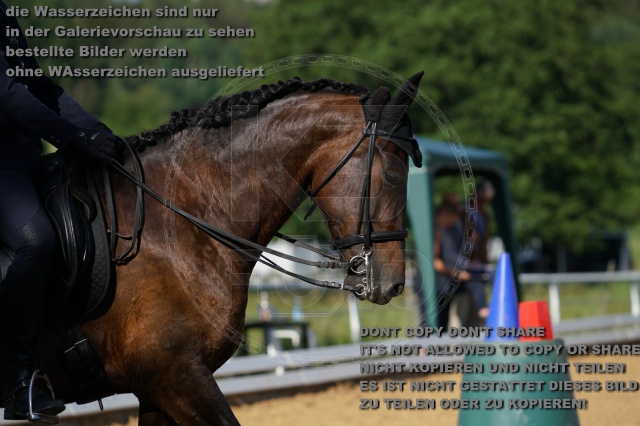 s_K3F05110.JPG